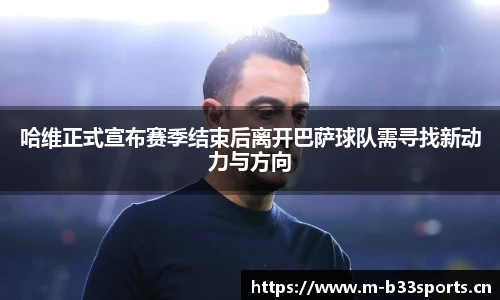 b33体育