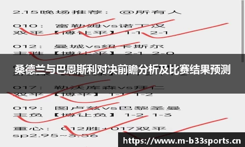 b33体育平台