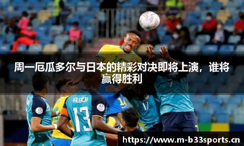 b33体育官网